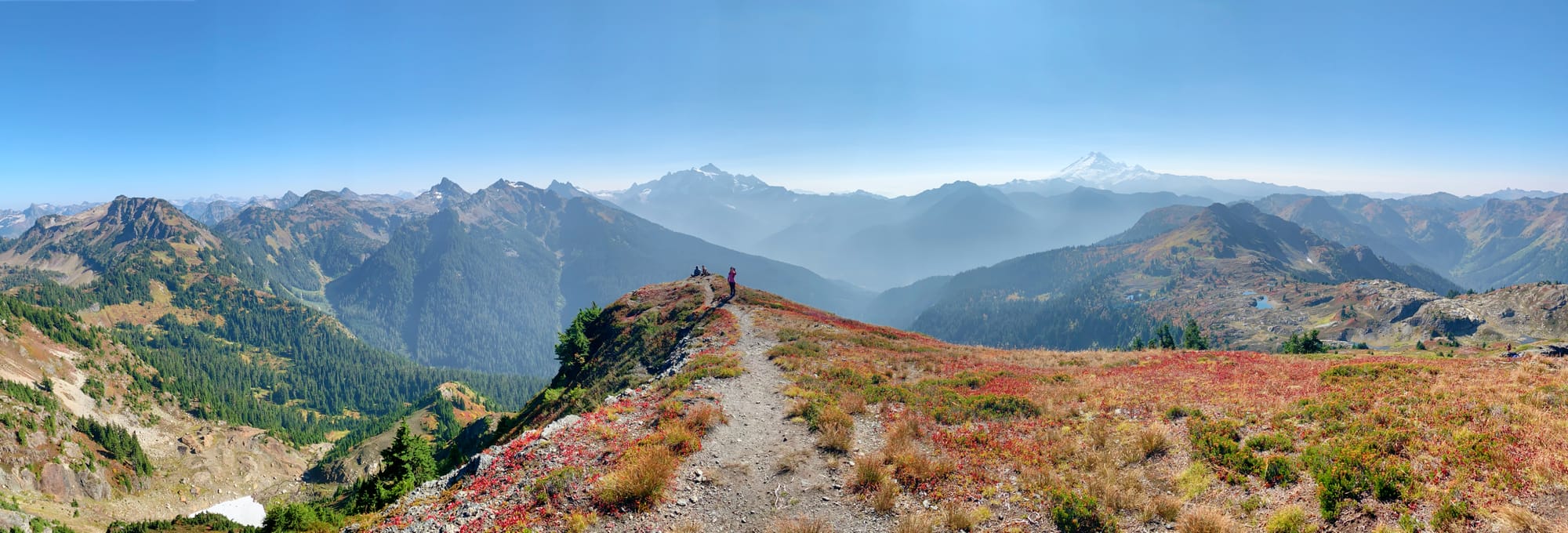 Evidence in the Wild